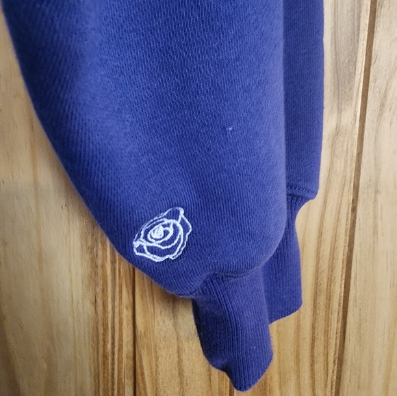 Balance/Vitality Affirmation Hoodie - Sapphire - Picture 3 of 4